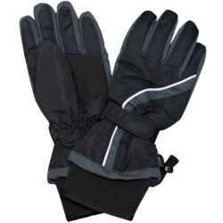 Ski Gloves